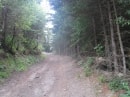 début de montée à la basse du Gerbier